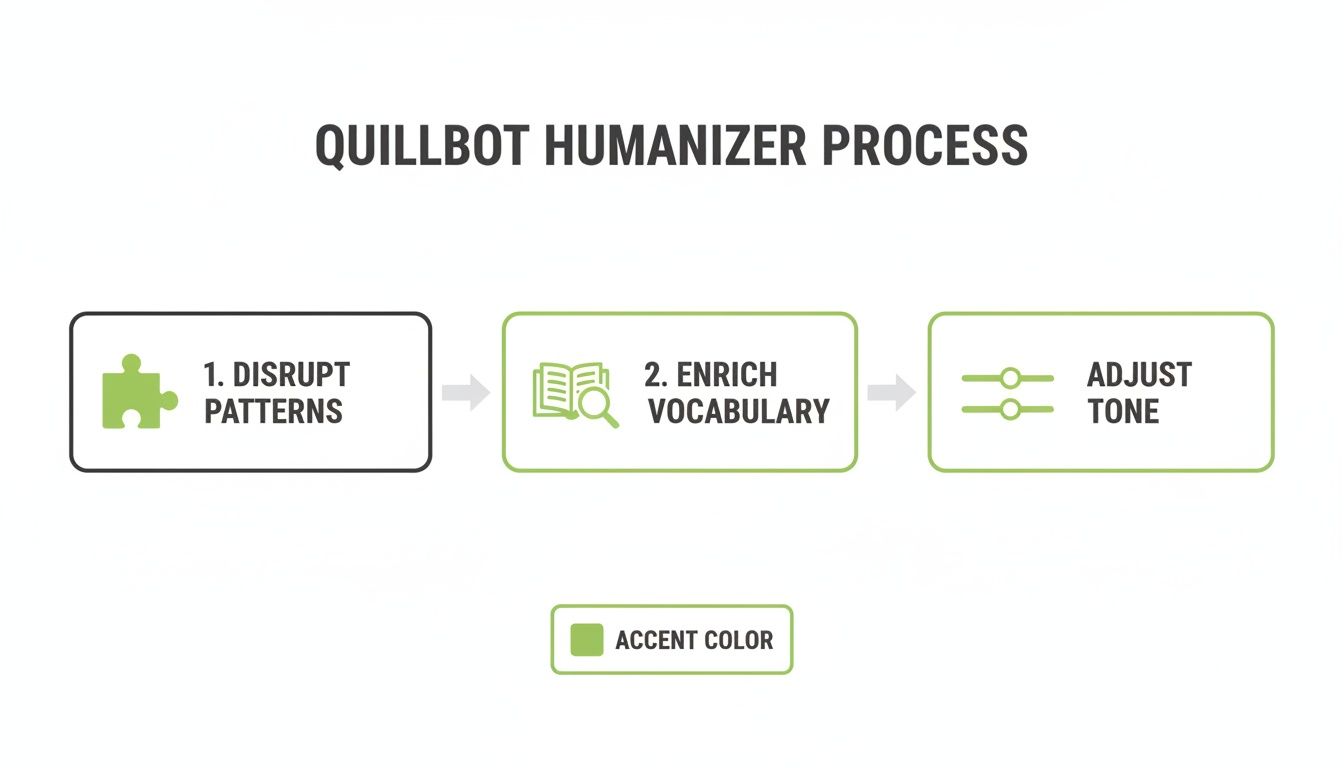 A flowchart illustrating the QuillBot Humanizer process, detailing steps to disrupt patterns, enrich vocabulary, and adjust tone.