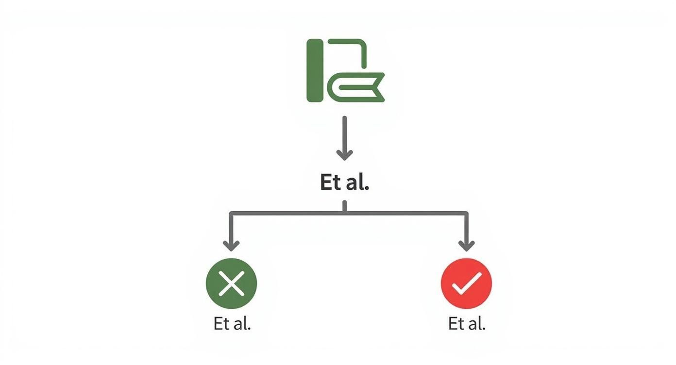 Infographic about et al punctuation