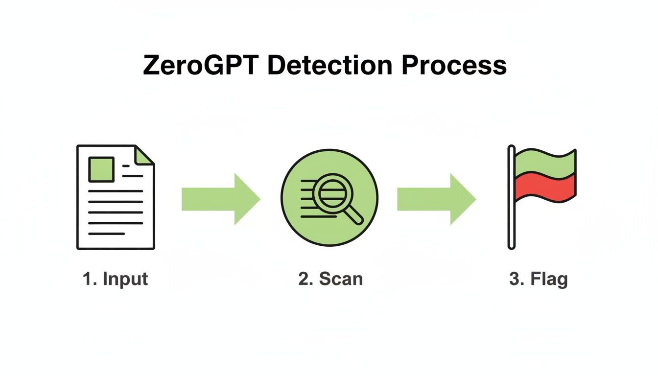 A flowchart illustrating the ZeroGPT detection process: Input, Scan, and Flag stages.