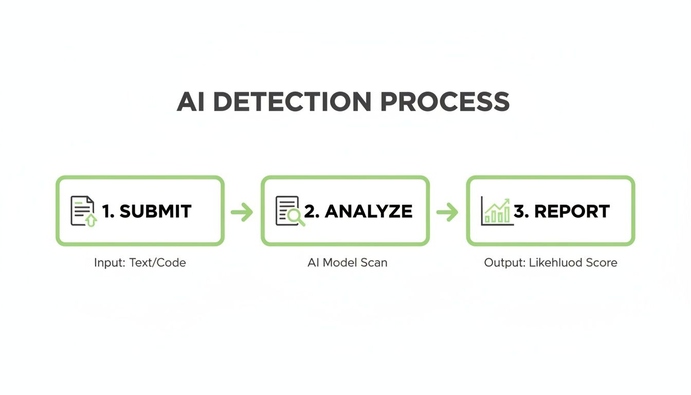 Flowchart illustrating the AI detection process with steps: submit input, analyze using AI, and report findings.