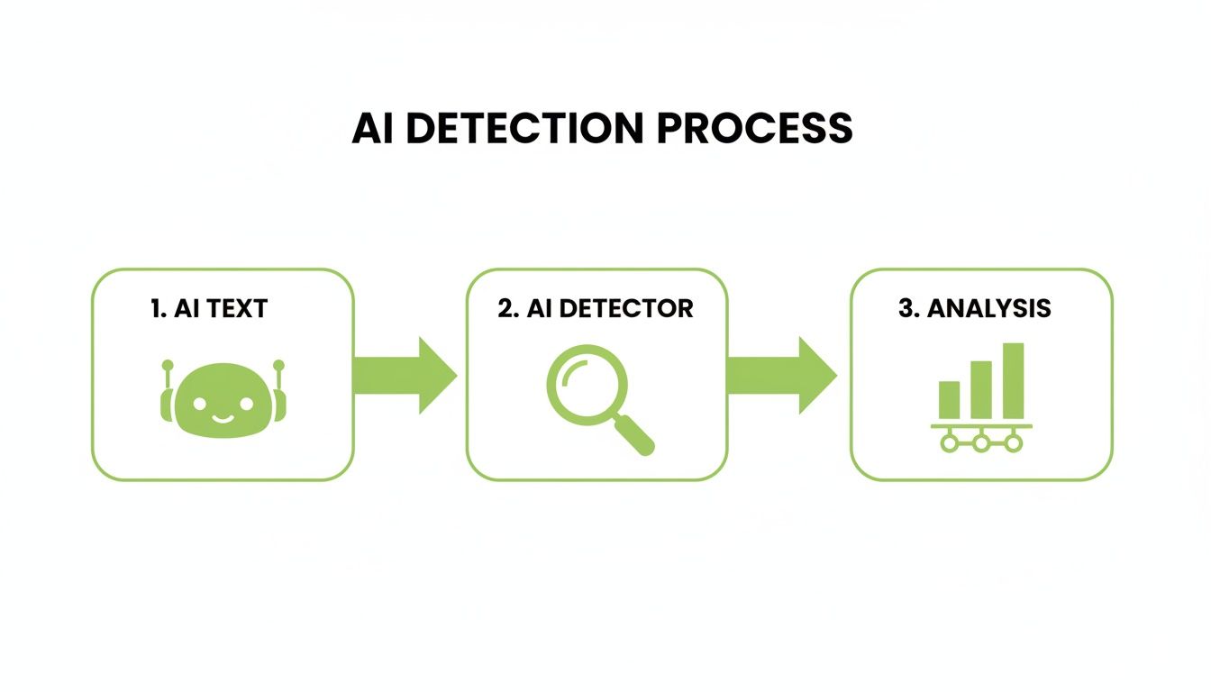 A flowchart illustrating the three-step AI detection process with icons for text, detection, and analysis.
