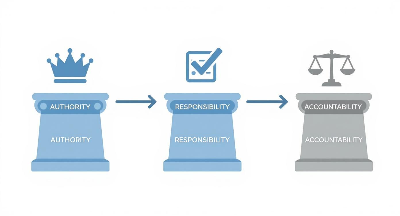 Infographic about what is delegation of authority