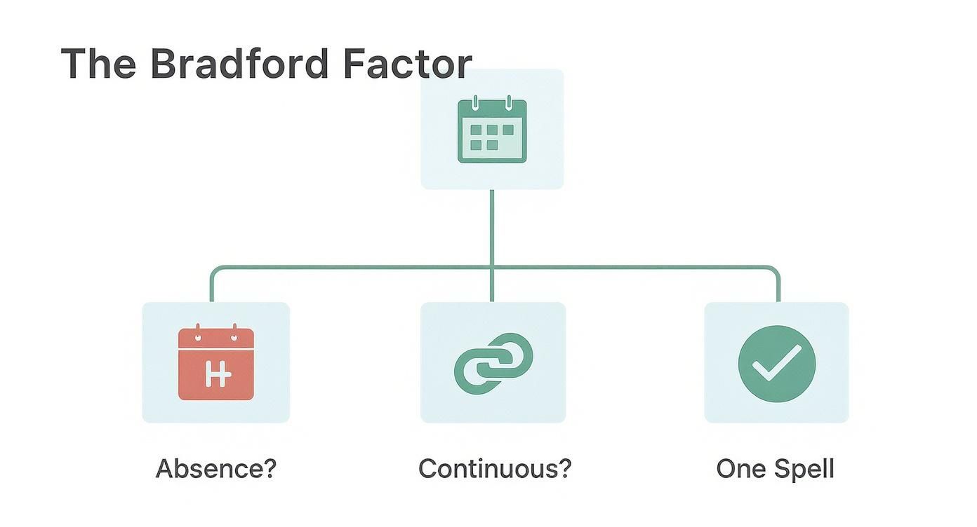 A diagram explaining The Bradford Factor, showing a calendar linked to Absence, Continuous, and One Spell concepts.