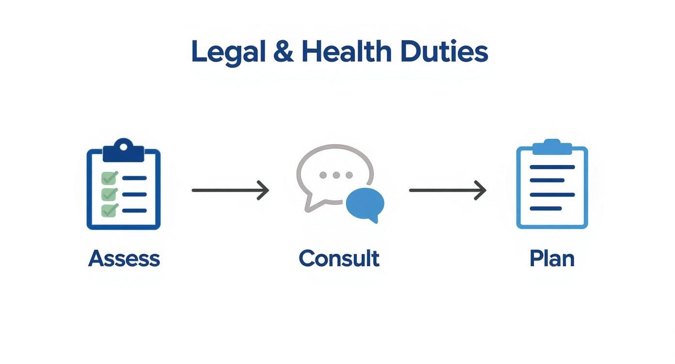 Process flow for Legal & Health Duties: Assess, Consult, and Plan steps with icons.
