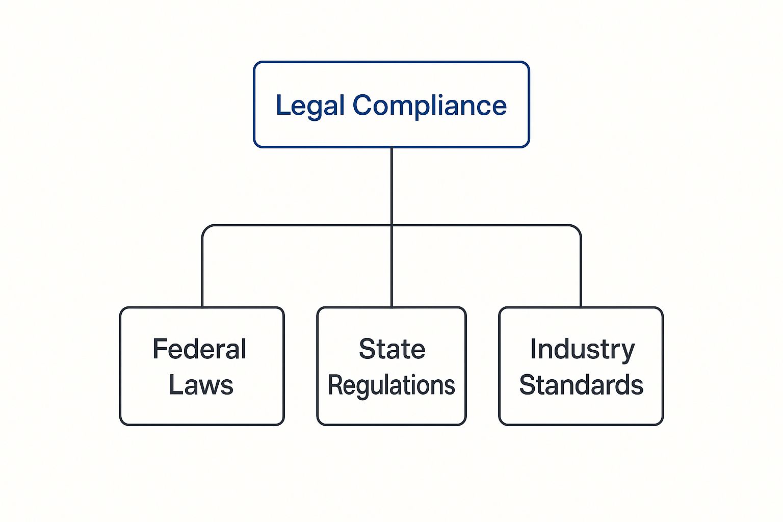 Infographic about background verification policy