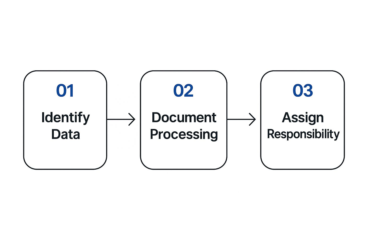 Data Audit Process