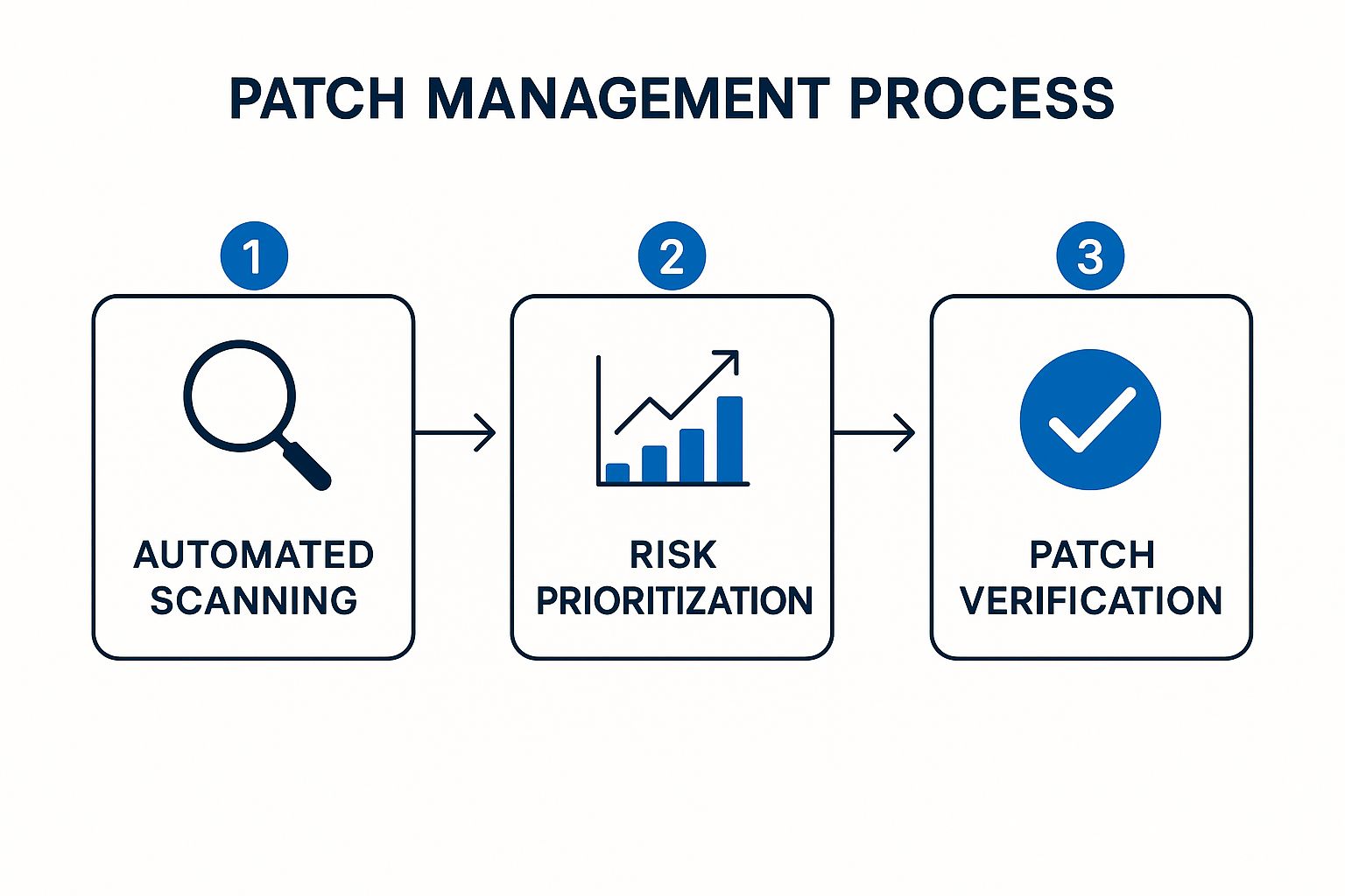 Infographic showing key data about Vulnerability Assessment and Patch Management