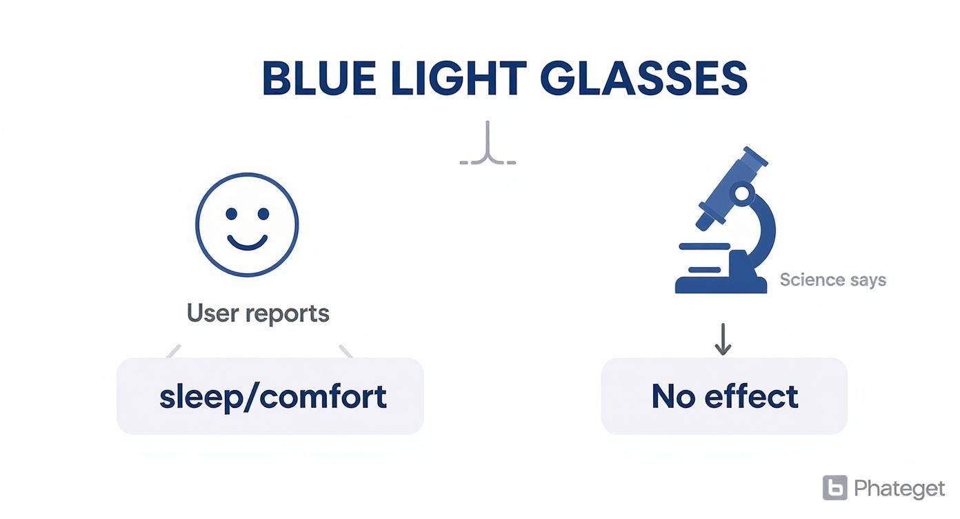 Infographic decision tree showing that user reports point to sleep and comfort benefits, while science says there's no effect.