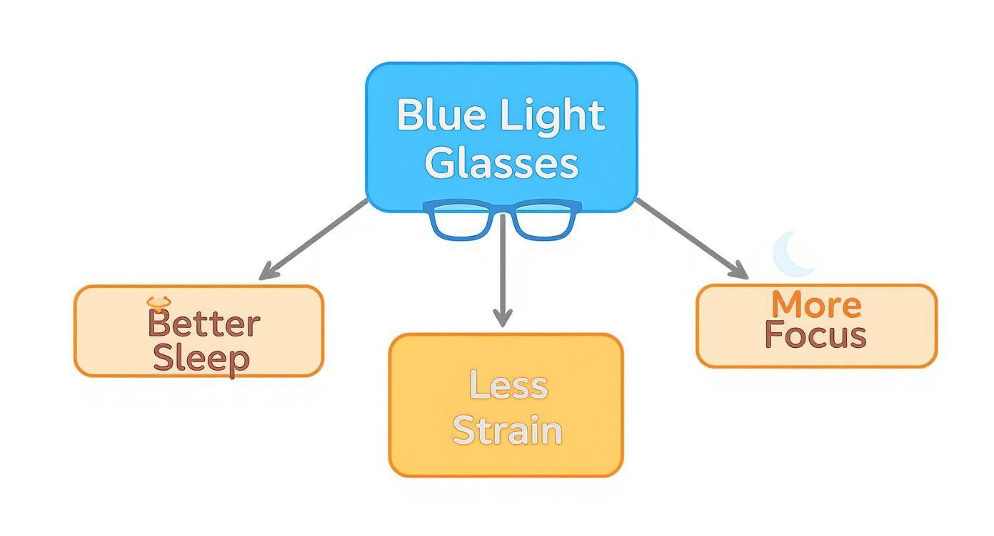 Infographic about blue light glasses benefits
