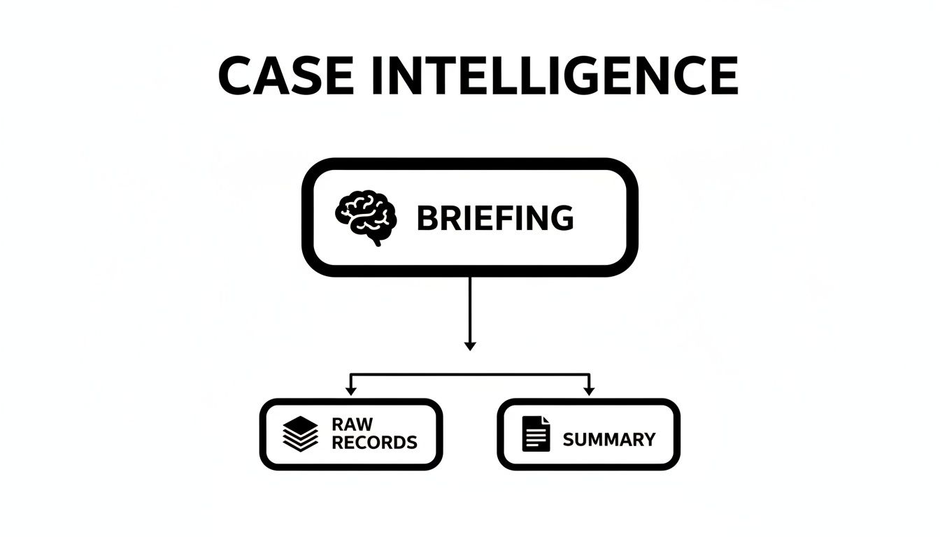 A flowchart illustrating the 'CASE INTELLIGENCE' process, showing 'BRIEFING' leading to 'RAW RECORDS' and 'SUMMARY'.