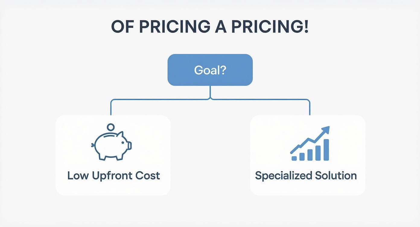 Diagram illustrating two primary goals when considering pricing: low upfront cost or specialized solution.