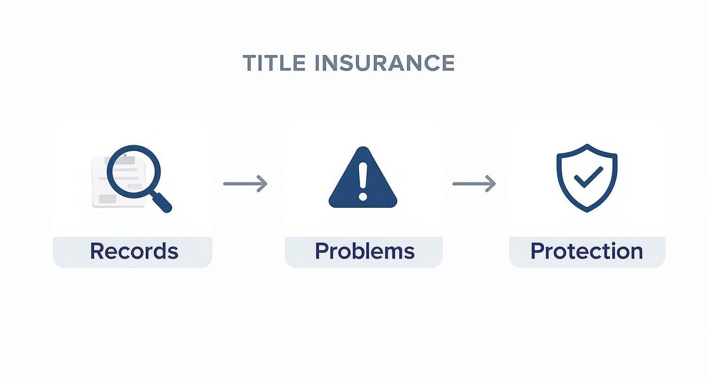 Title Insurance Visual What Is a Title Insurance Policy and Why You Need It - ACME Florida