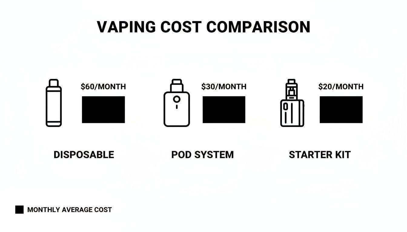 Vaping cost comparison chart showing monthly average costs for disposable, pod system, and starter kits.