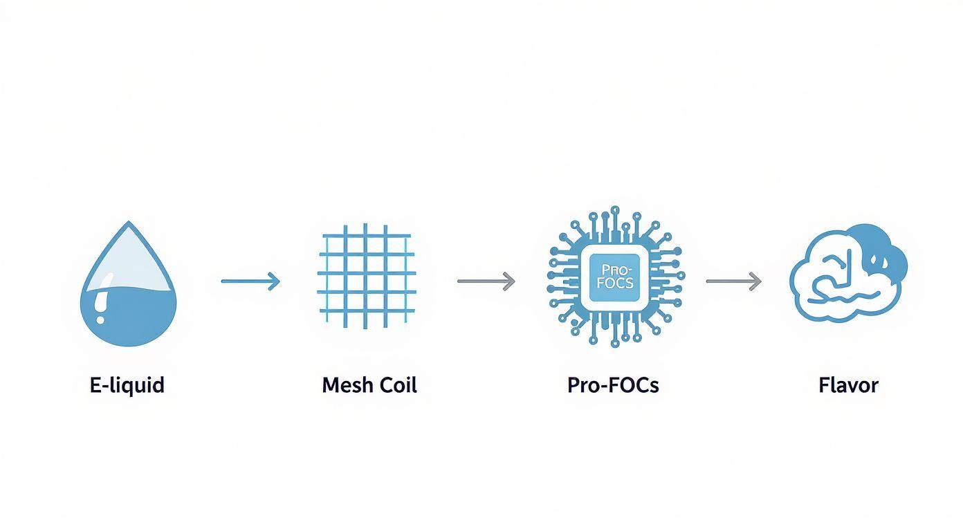 Diagram illustrating the process flow from E-liquid to flavor production using Mesh Coil and Pro-FOCs technology.