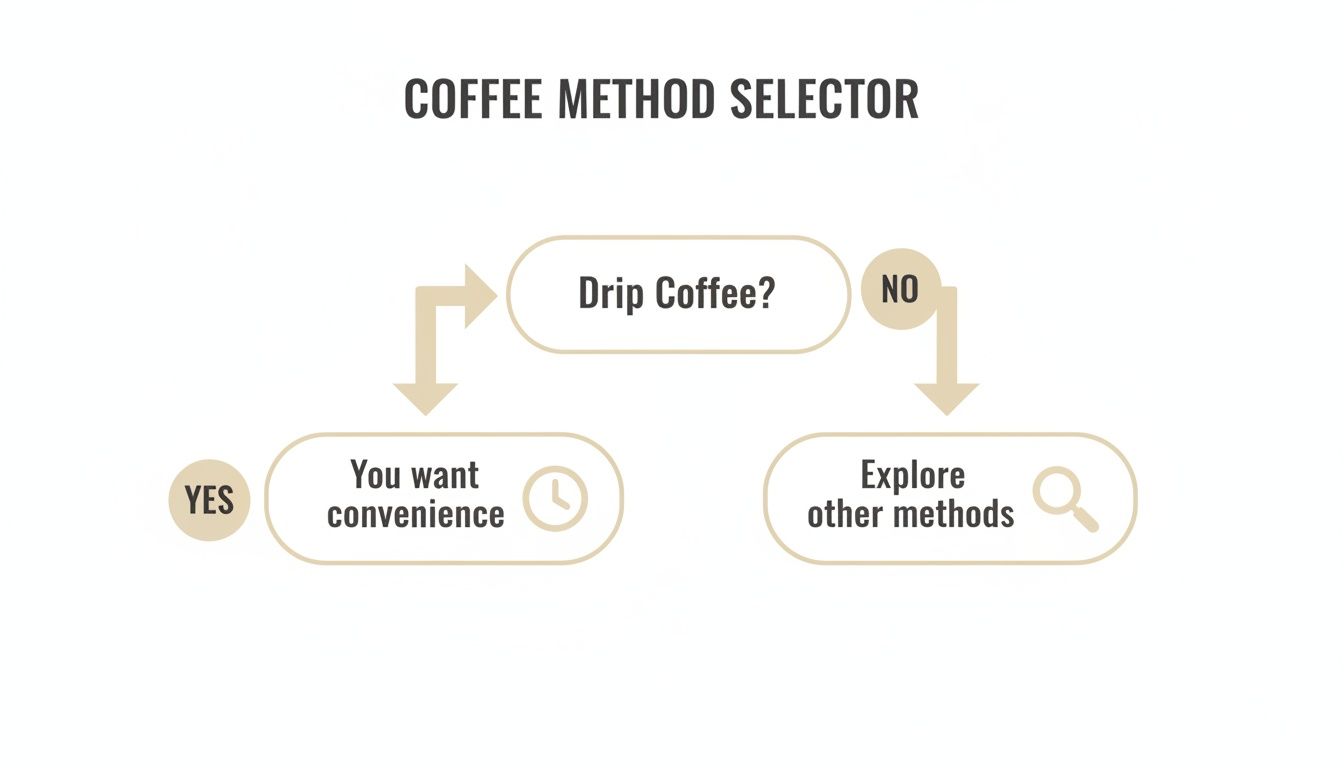 Flowchart for selecting coffee brewing method: 'Drip Coffee?' leads to convenience or exploring other options.