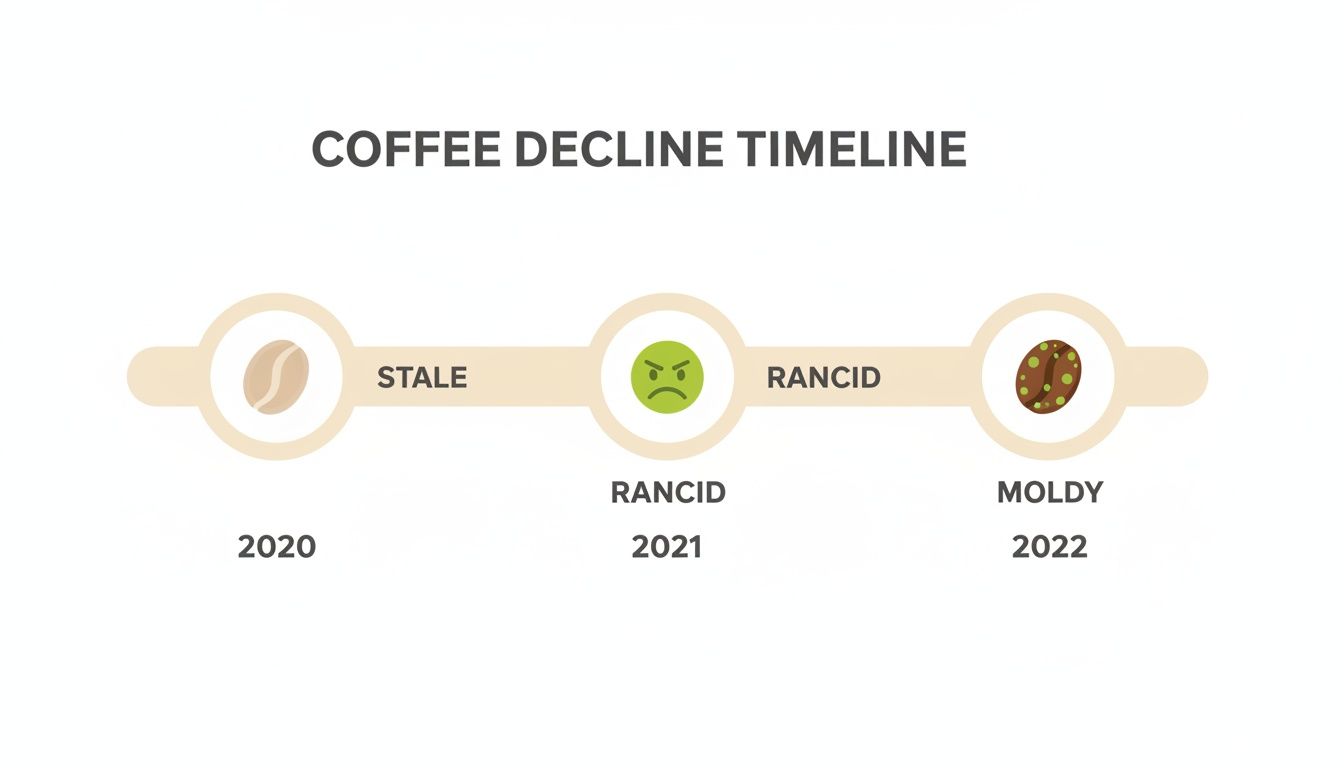 A coffee decline timeline shows coffee going from stale in 2020, rancid in 2021, to moldy in 2022.