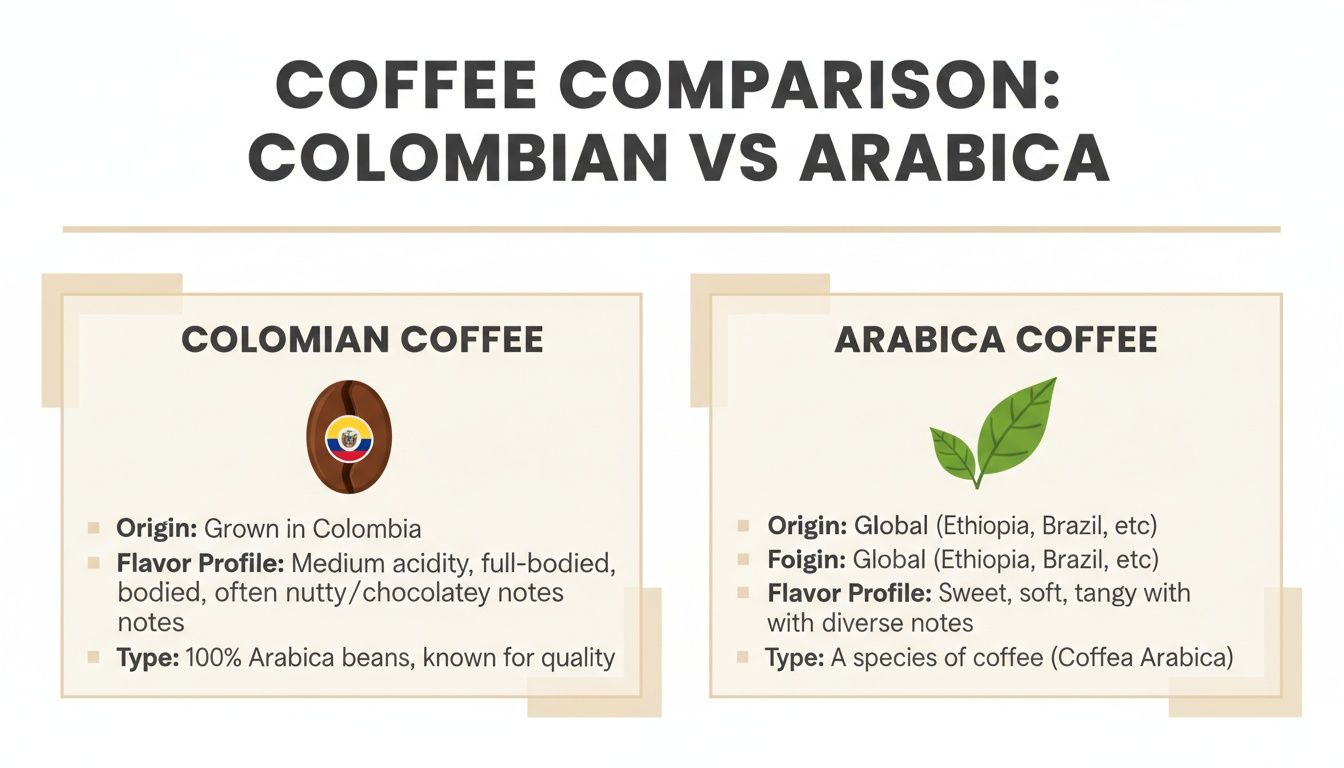 An infographic comparing Colombian coffee and Arabica coffee, detailing their origin, flavor, and type.