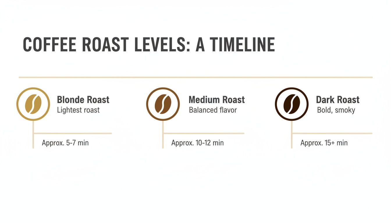 A timeline infographic illustrating coffee roast levels: Blonde, Medium, and Dark, with their descriptions and approximate roasting times.