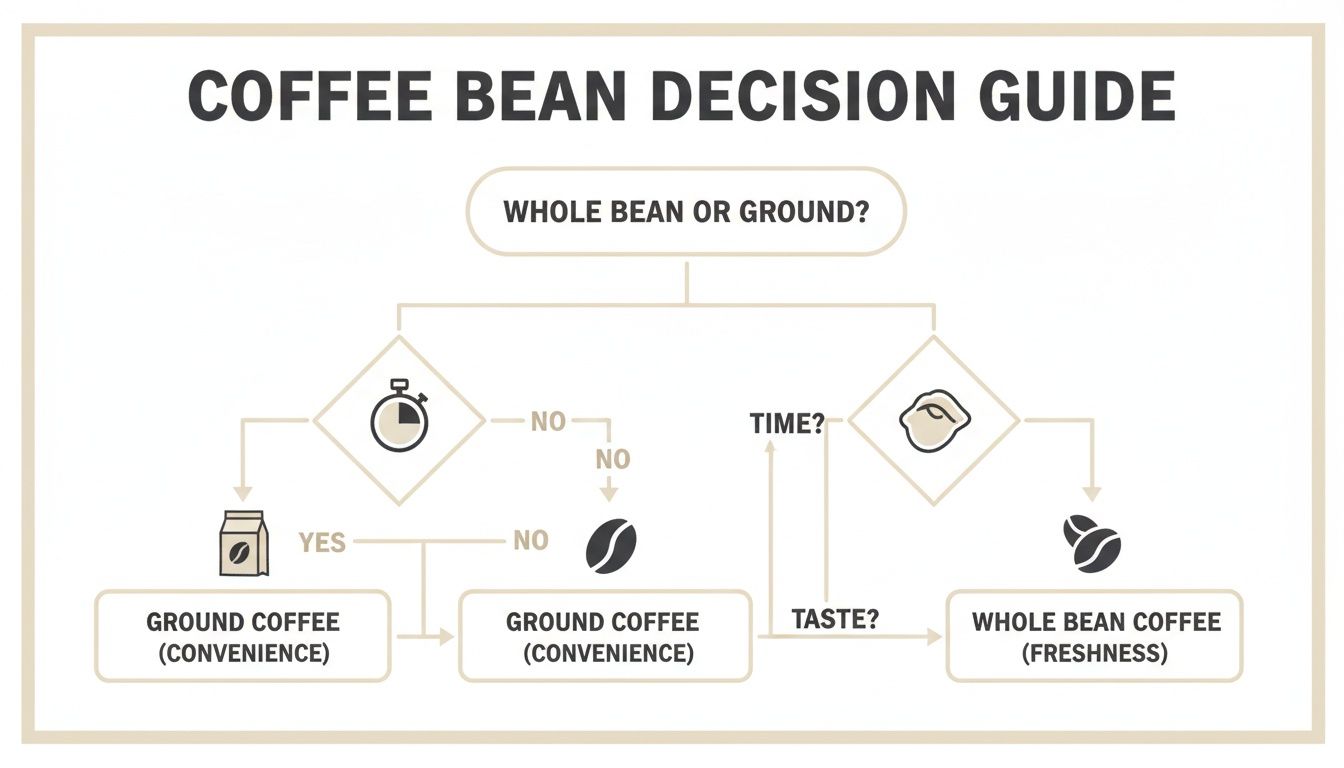 A flowchart decision guide for choosing between whole bean and ground coffee, considering time and taste.