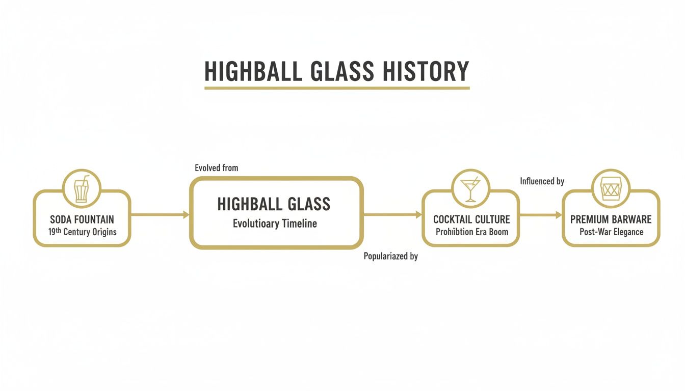 A timeline illustrates the history and evolution of the highball glass, from soda fountains to premium barware.