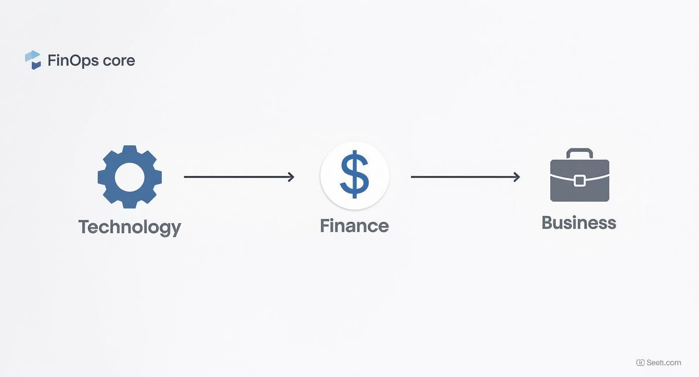 Infographic about what is finops
