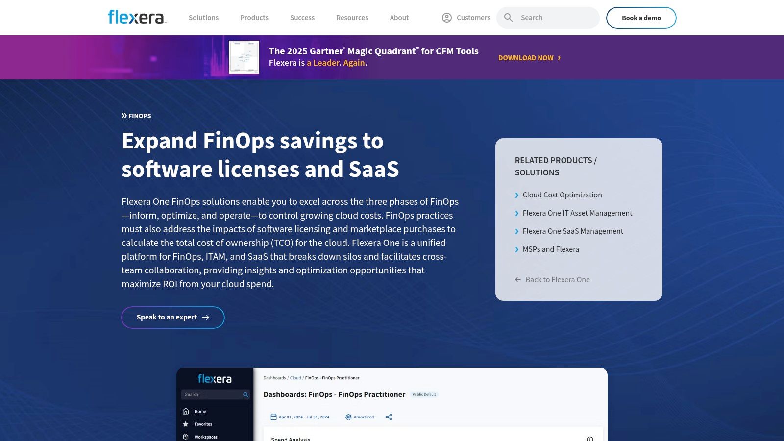 Flexera One (FinOps)