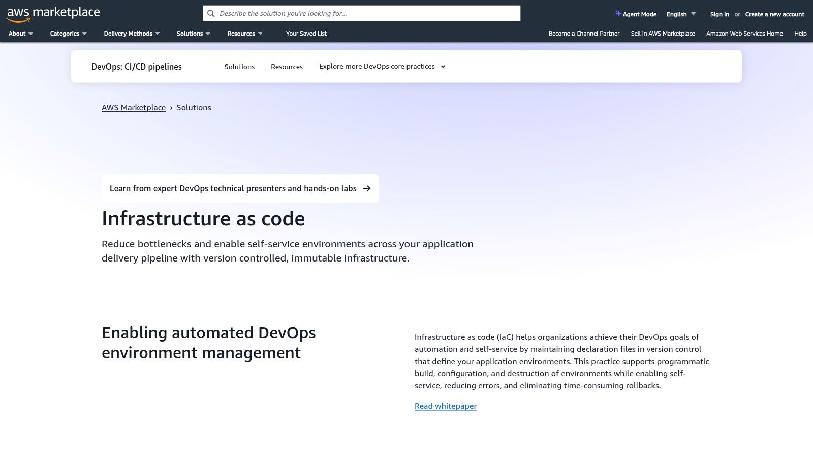 AWS Marketplace (Infrastructure as Code category)
