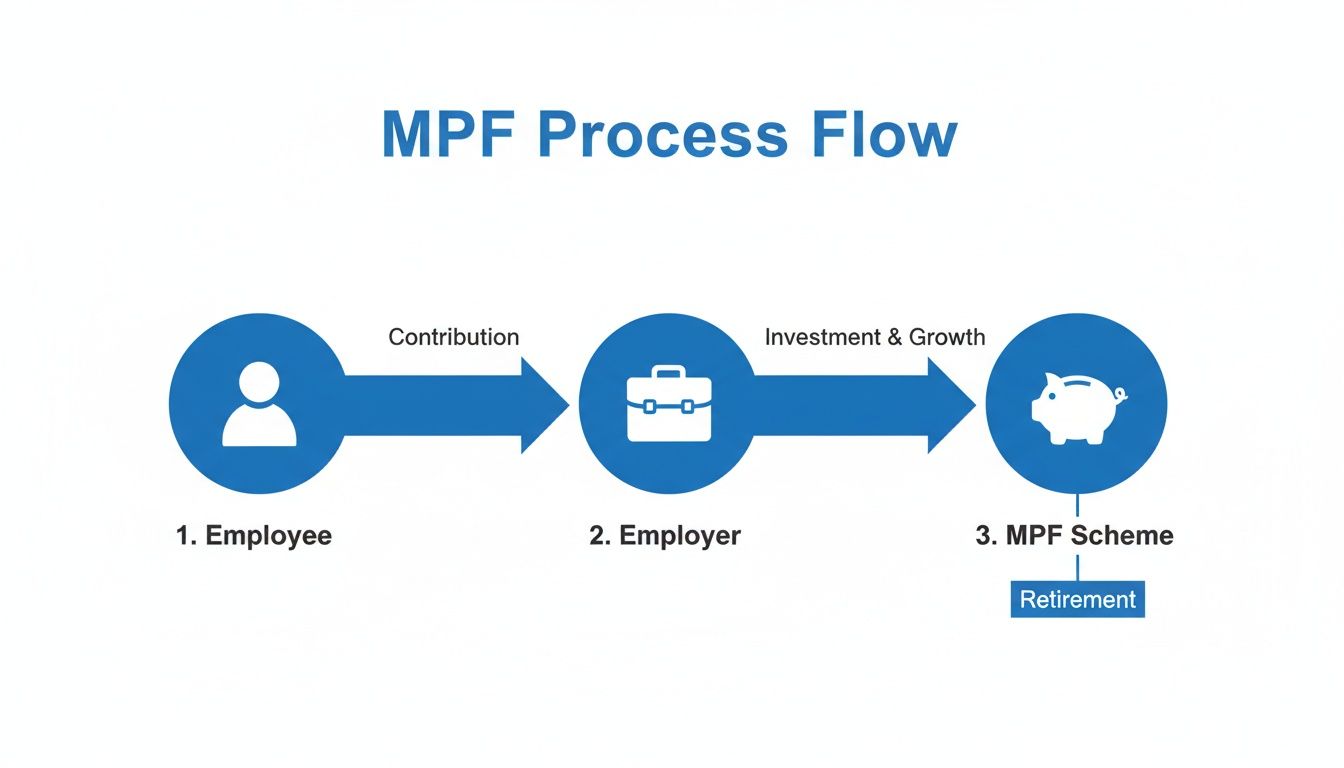 A visual flowchart outlining the Mandatory Provident Fund process from contribution to retirement.
