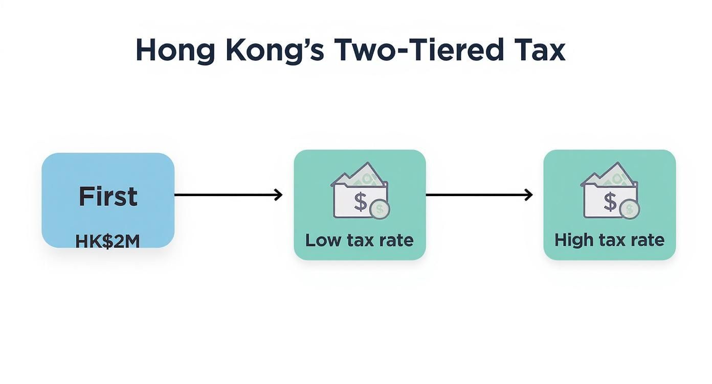 Infographic about hk corporate tax rate