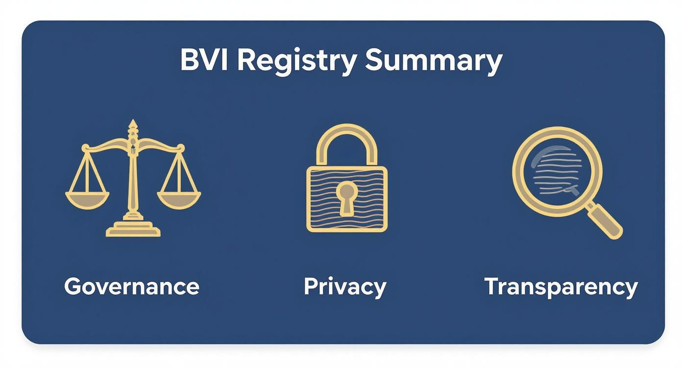 A Practical Guide to Your BVI Company Registry Search