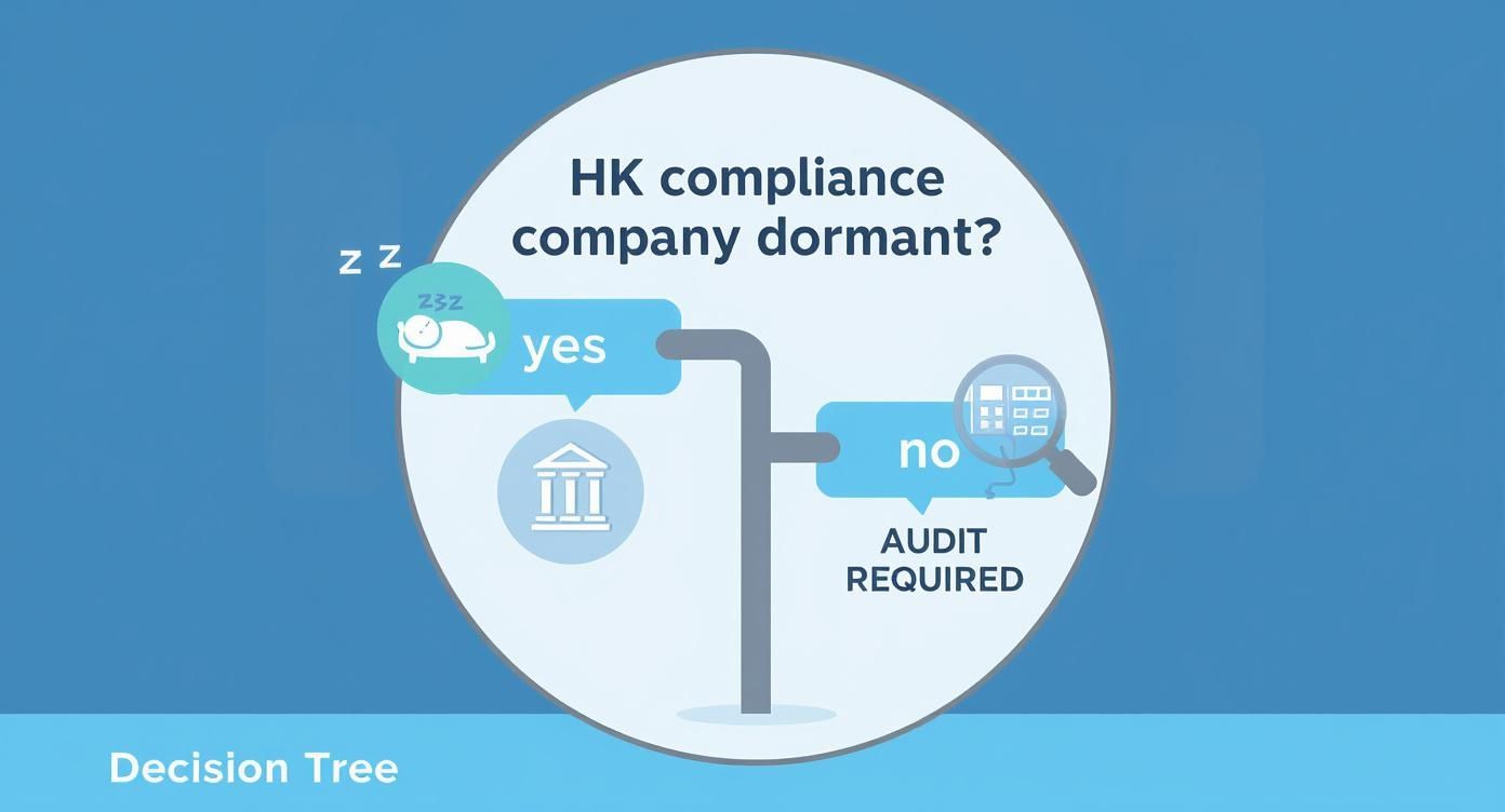 Infographic decision tree asking if a company is dormant to determine if an audit is required for Hong Kong compliance.