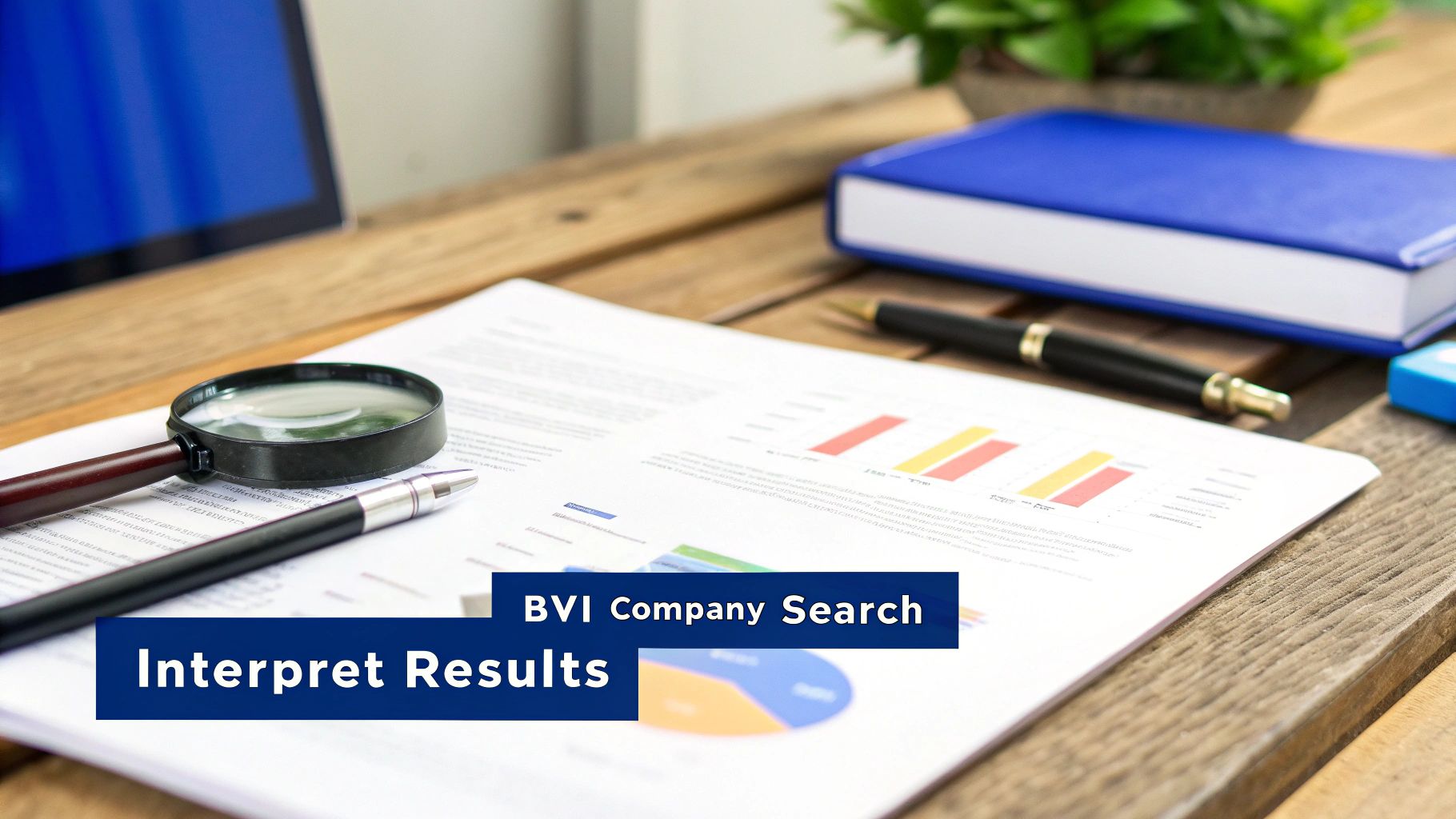 Desk with financial documents, charts, magnifying glass, and a pen, with text 'BVI Company Search' and 'Interpret Results'.