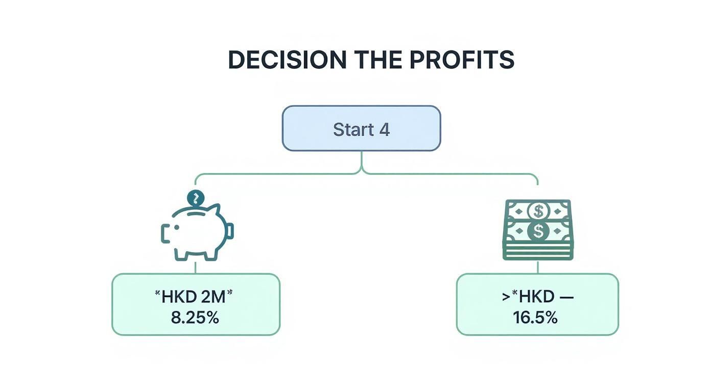 Flowchart for profit decisions, comparing HKD 2M at 8.25% with greater HKD at 16.5%.