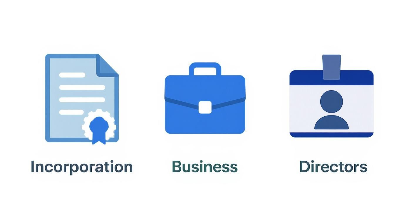 Three blue icons represent business incorporation, a briefcase for business, and an ID for directors.