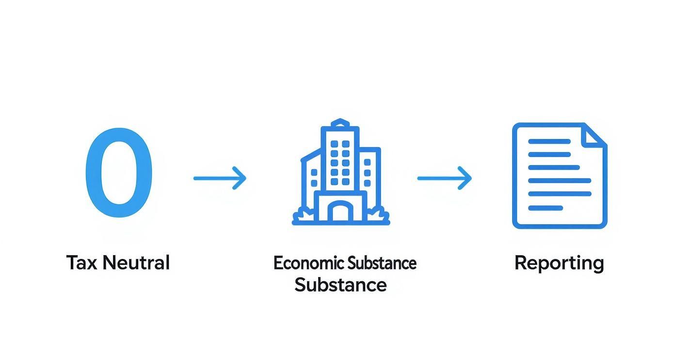 Flowchart with blue icons showing tax neutral, economic substance, and reporting steps.