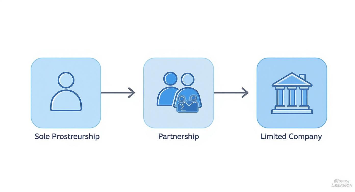 Infographic showing the progression from Sole Proprietorship to Partnership to Limited Company.