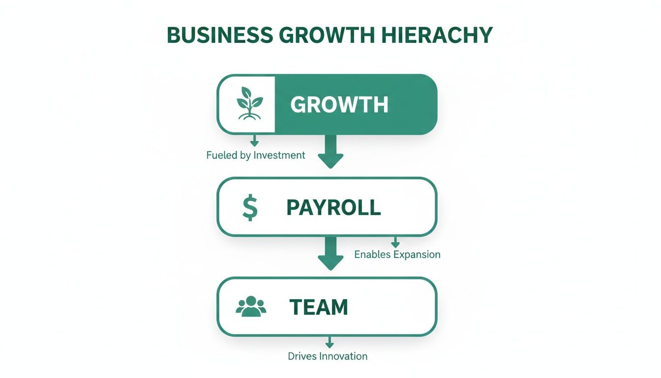 A business growth hierarchy diagram showing growth fueled by investment leading to payroll, enabling team expansion and innovation.
