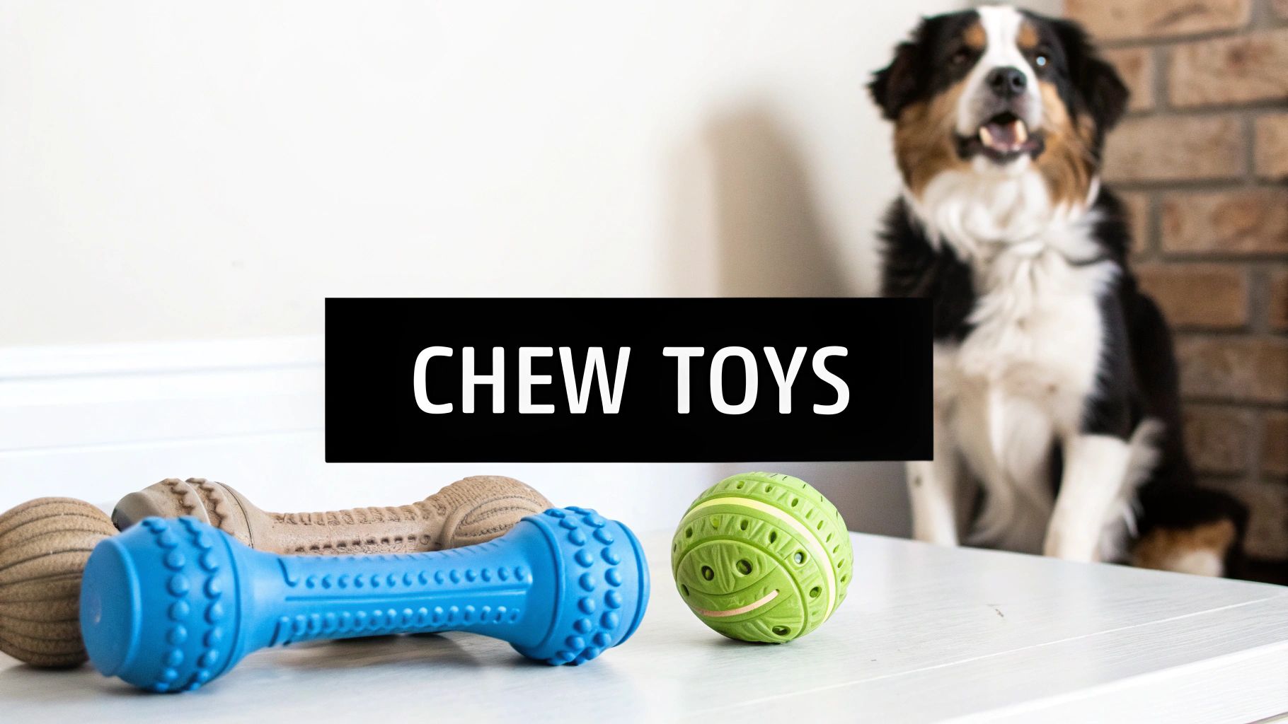 Provide Appropriate Chew Toys