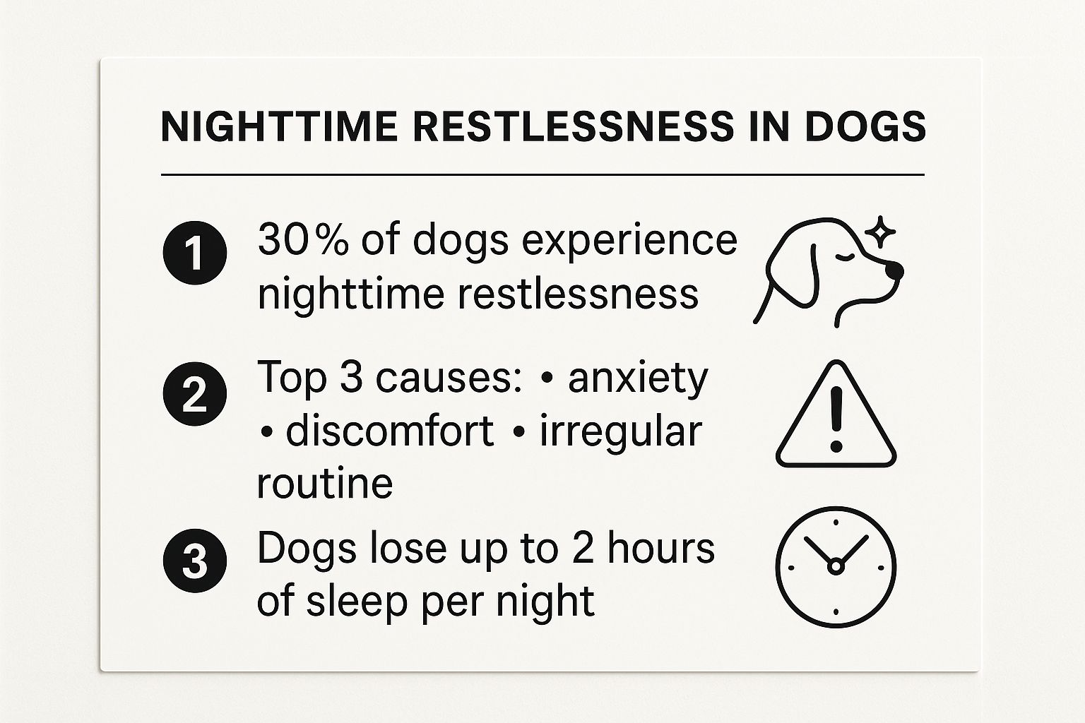 Infographic about dog restless at night