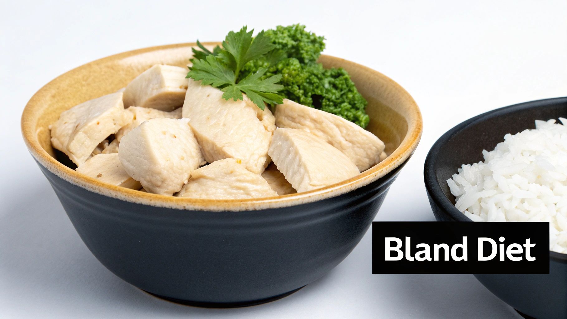 Bland Diet (Chicken and Rice)