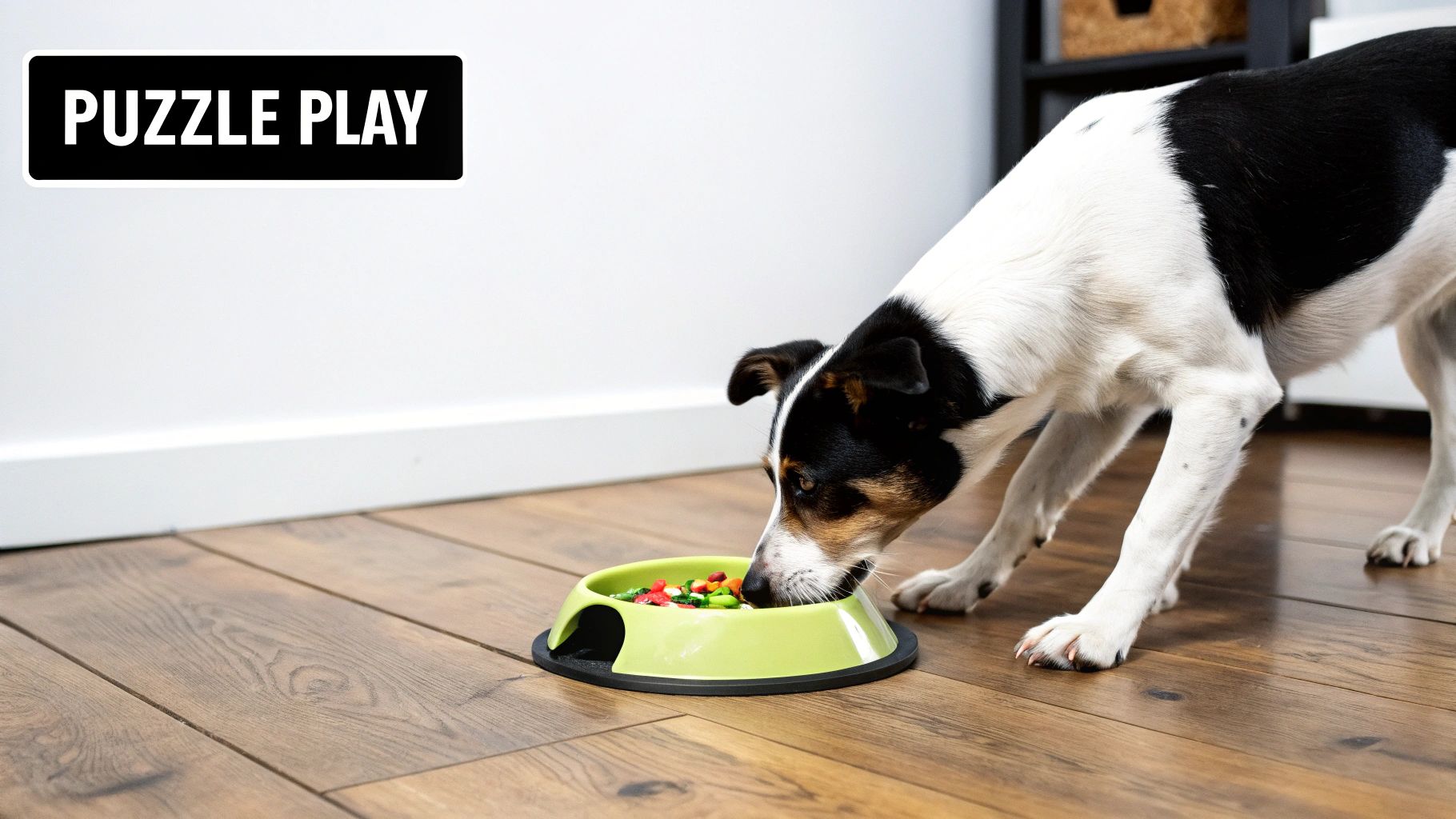 Interactive Puzzle Toys