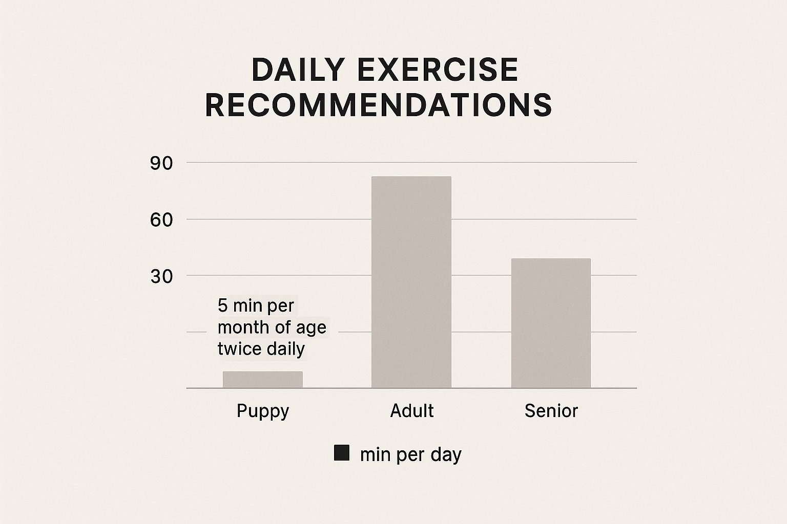 Infographic about how much exercise do labradors need