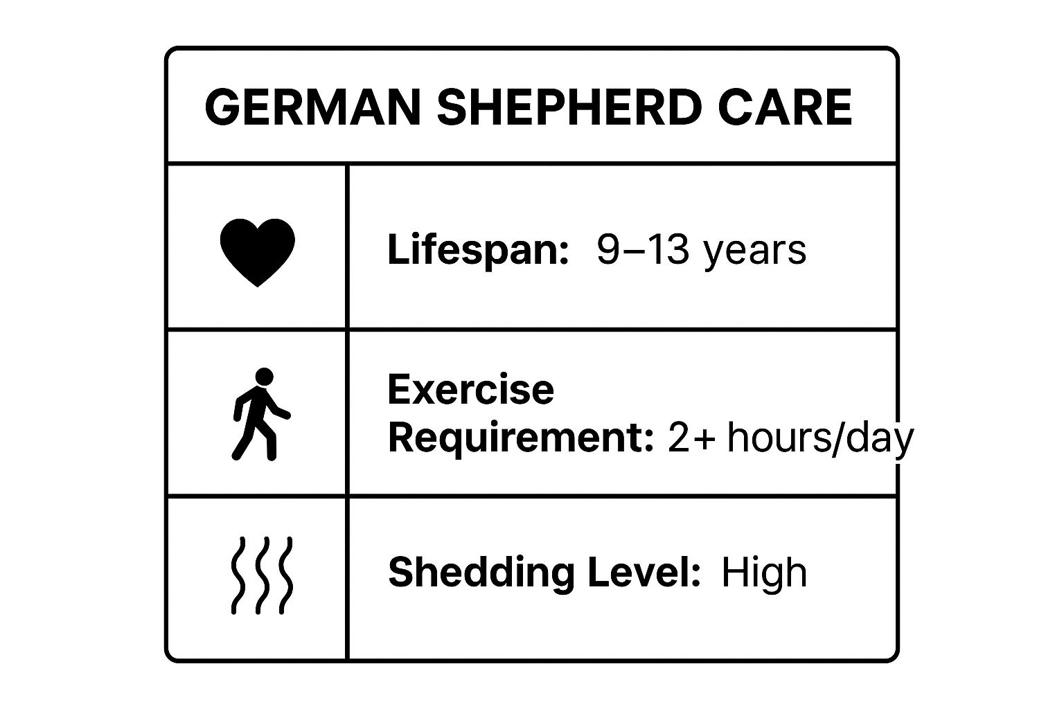 Infographic showing key data about German Shepherd
