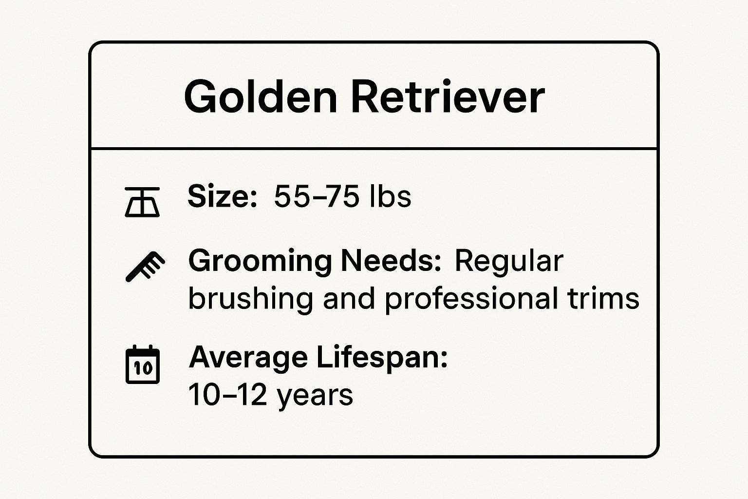 Infographic showing key data about Golden Retriever