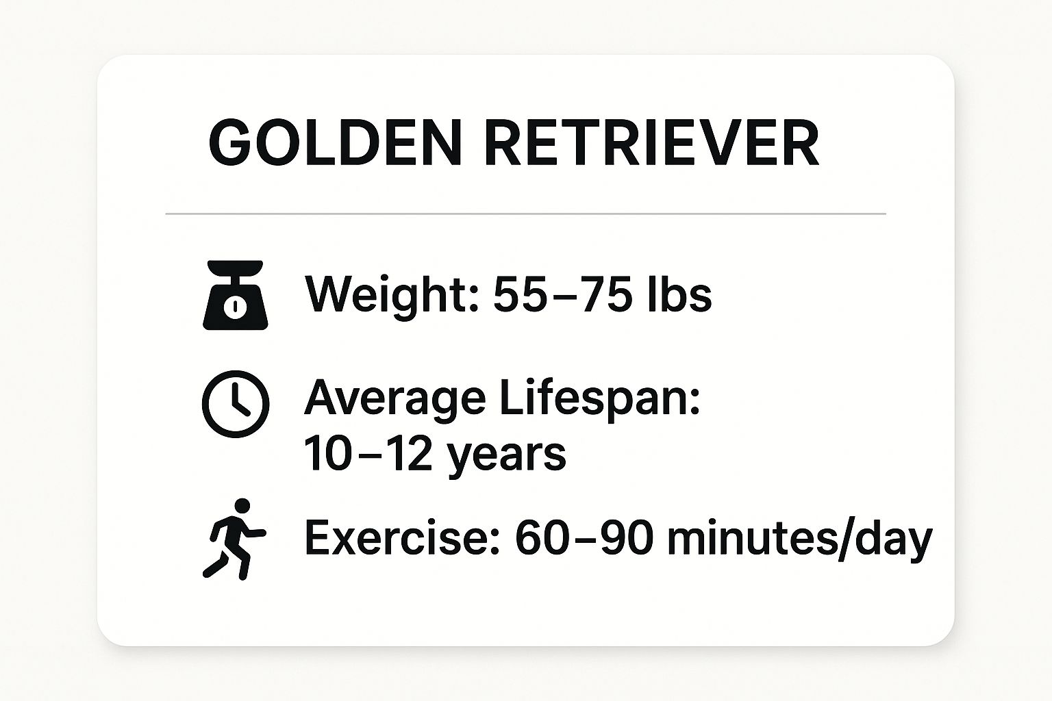 Infographic showing key data about Golden Retriever: weight 55–75 lbs, lifespan 10–12 years, exercise 60–90 minutes