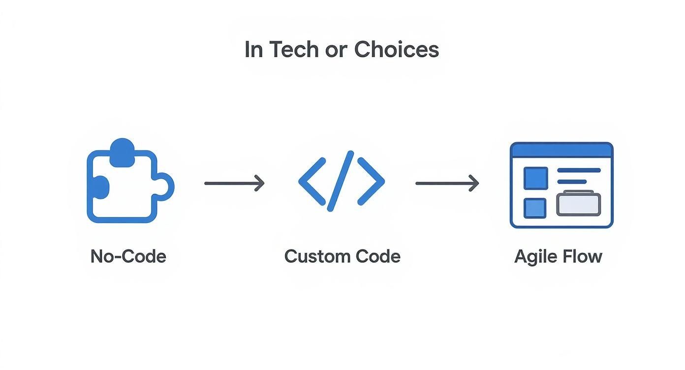 Infographic about startup mvp development
