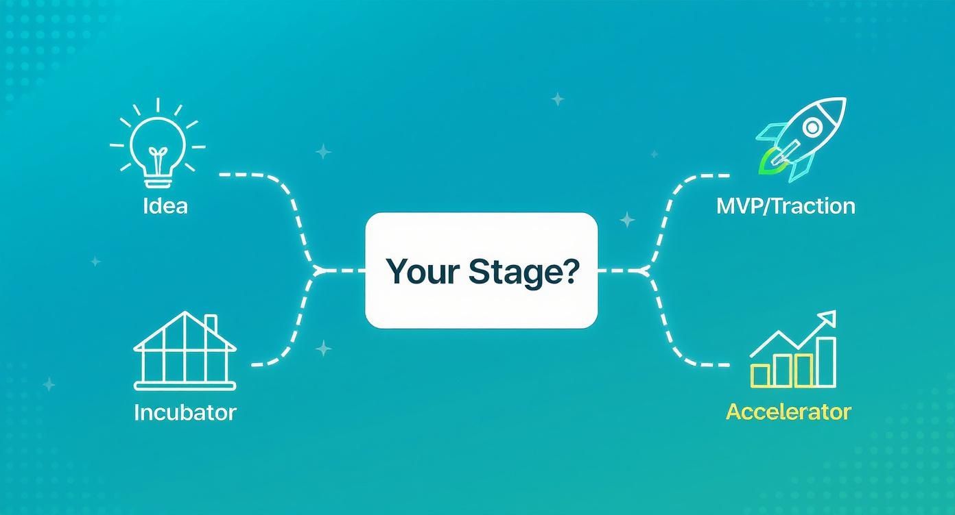 Infographic about startup accelerator and incubator