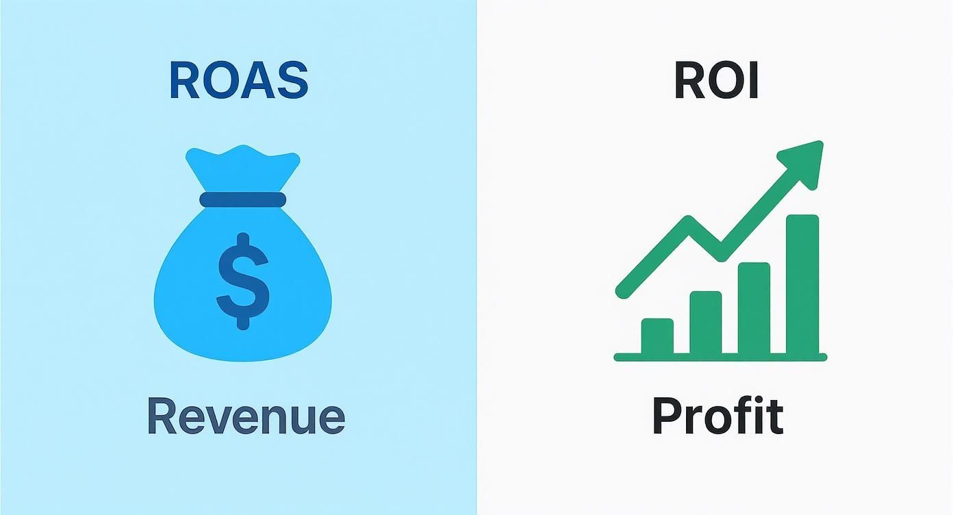 Infographic comparing ROAS to ROI, showing a dollar bag icon for revenue and a growing graph icon for profit.
