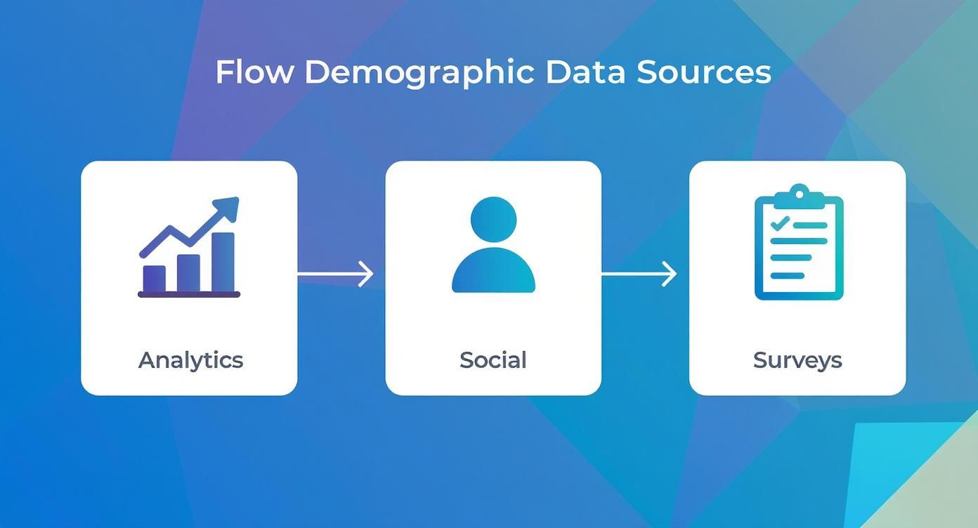 Infographic about audience analysis demographics
