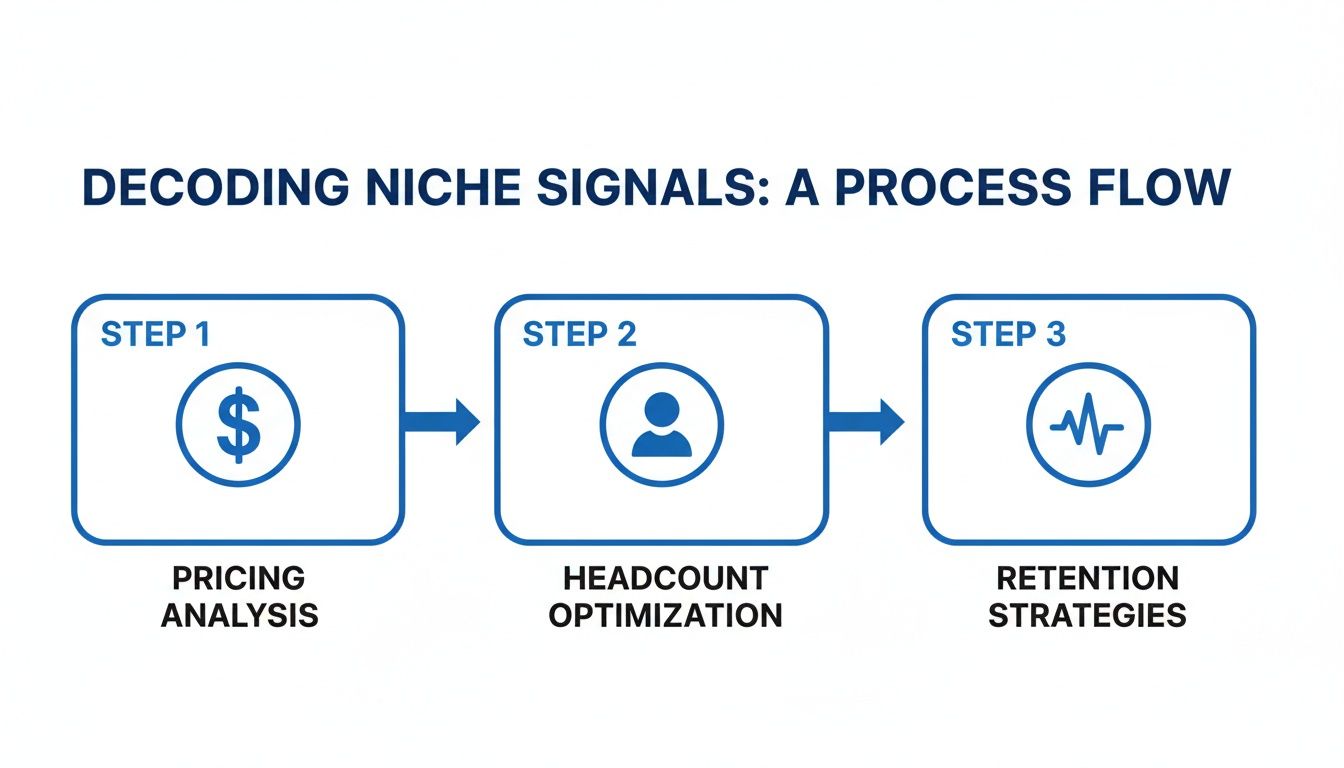 Three-step process flow for decoding niche signals: pricing analysis, headcount optimization, and retention strategies.